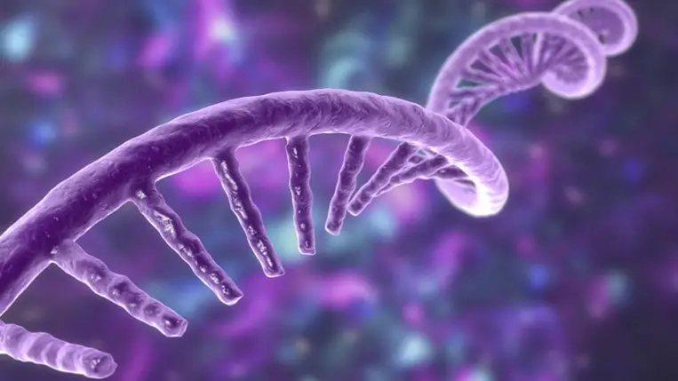 Szenzációs hír: már embereken tesztelik a rákellenes oltást