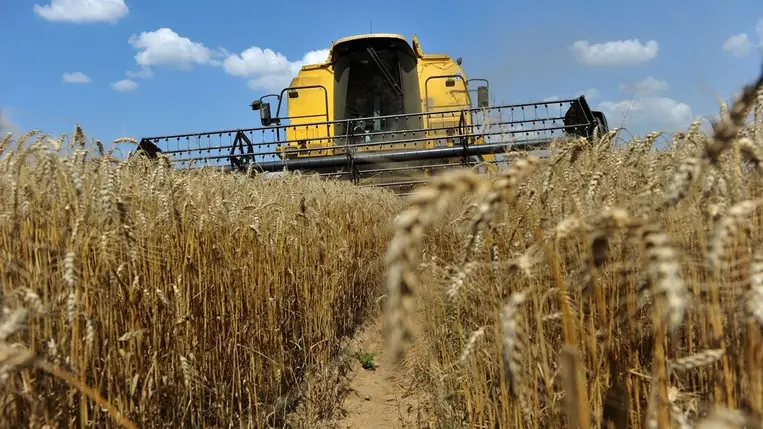 Ukrajna kész elfogadni az uniós kereskedelmi korlátozásokat