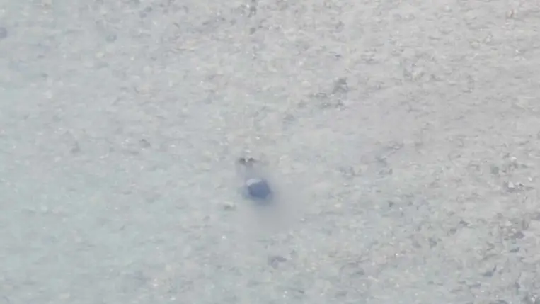 A román határ közelében, a Tisza folyóban egy 33 éves harkivi lakos holttestét találták meg a román határőrök. Fotó: DPSZU