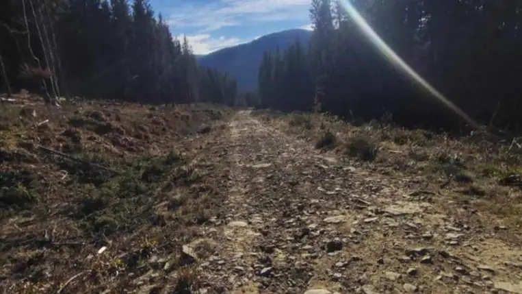 Honismereti osztálykirándulás a Fekete-Tisza forrásvidékére - A szülőföld szépsége és gazdagsága