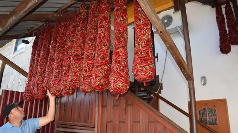 Fűszerpaprika-termesztés 2024: rekordhozam - Már megjelent az új őrlemény. Fotó: Kárpátinfó/Kovács Elemér