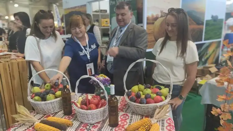 OMÉK – a Kárpát-medence legjava - Bemutatkoztak földijeink. Fotó: Kárpátinfó/ Kovács Elemér