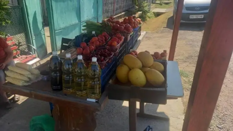 Megkezdődött a dinnyeszezon - Kisebb termés, jobb minőség. Fotó: Kárpátinfó/ Kovács Elemér