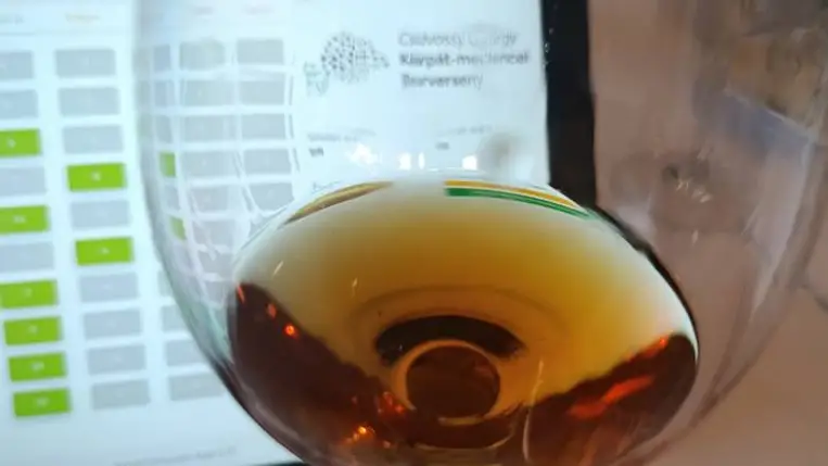 Jól szerepeltek borászaink a Csávossy György Kárpát-medencei Borversenyen - Megmérettetés és szakmai fórum