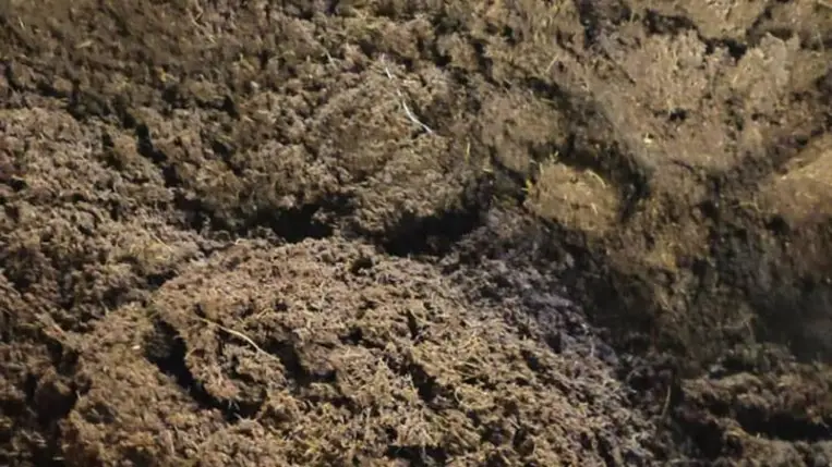 Új utakon a fóliasátras zöldségtermesztésben, avagy megoldások a talajproblémákra (6.)