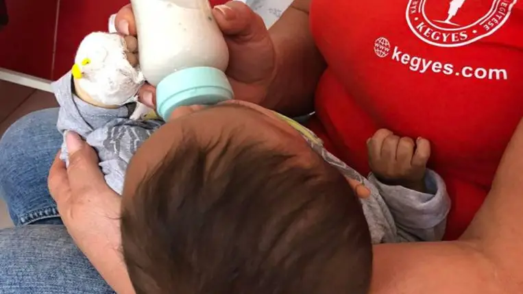 A KEGYES-t segíti idén a Jónak lenni jó! kampány  - Valóra válhat a nagy álom