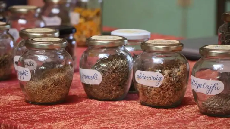 Mesterségünnep Tóthfaluban - Kezdődik a IV. Népi kézműves tábor. Fotó: Nádi Karolina, Hagyományok Háza Hálózat