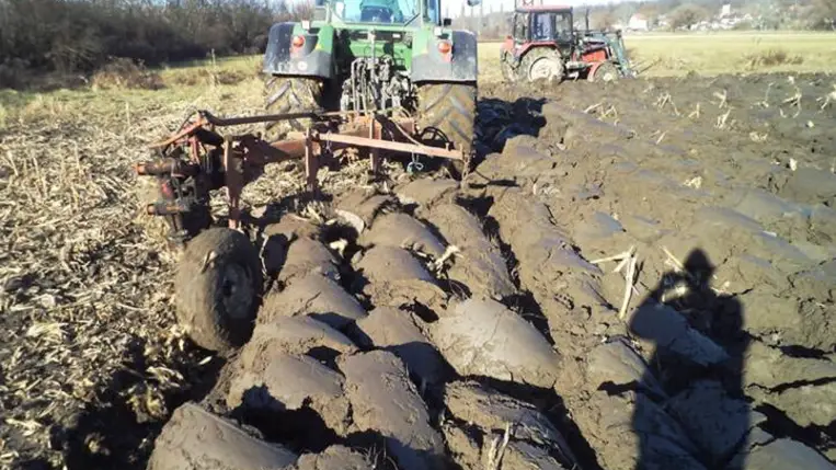 Mélynyugalmi állapotban gyümölcsfáink - Lesz-e böjtje az enyhe időjárásnak?