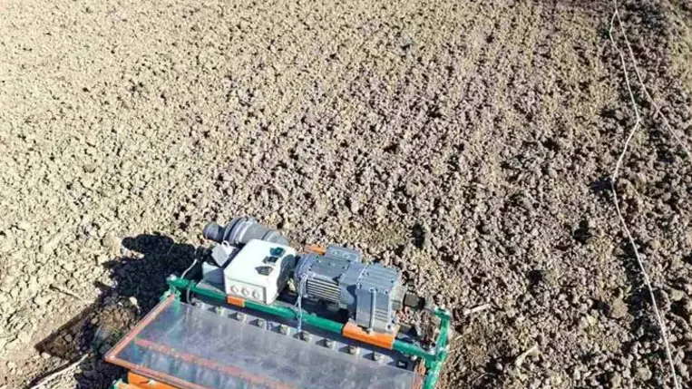 Piacon az első hazai primőr - A retek mindent kibír