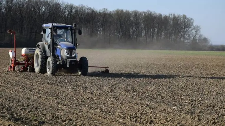 Elkezdődött a tavaszi forduló - Mely növényeket favorizáljuk?