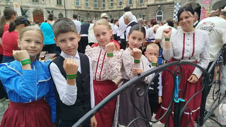 Kárpátaljai citerások is részesei a Guinness-világrekordnak - Összeállt a világ legnagyobb citeraegyüttese
