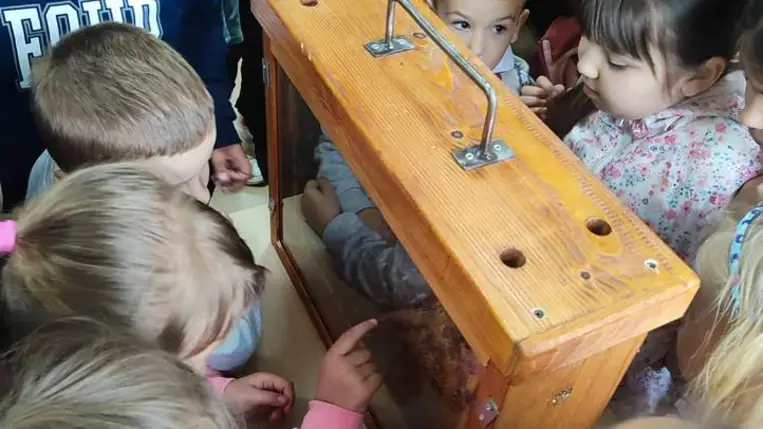 Egy nemzetközi pályázat kárpátaljai tapasztalatai  - Határon átnyúló kézműves és gasztronómiai örökség