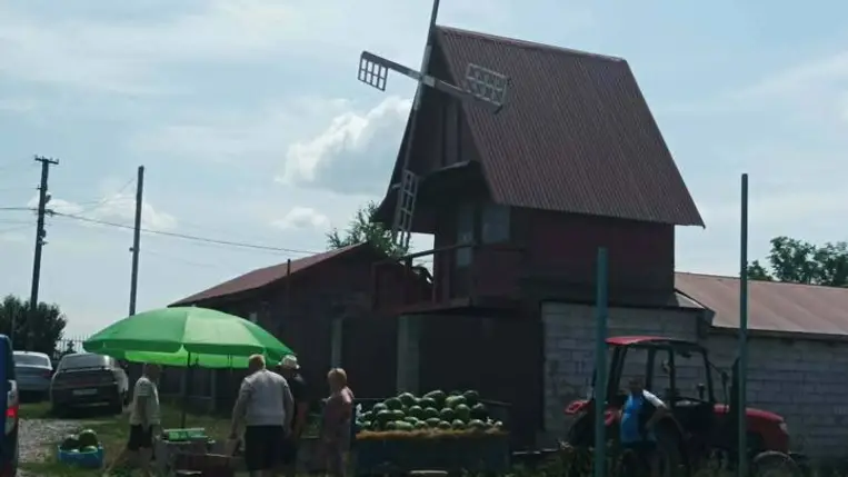 Piacon az első hazai dinnye