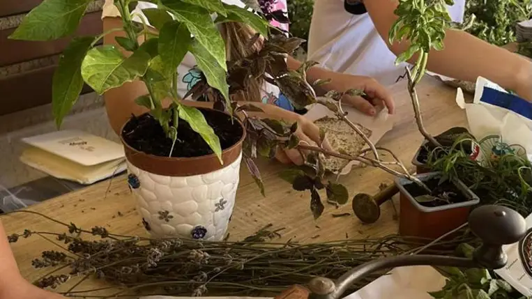 Egy nemzetközi pályázat kárpátaljai tapasztalatai  - Határon átnyúló kézműves és gasztronómiai örökség