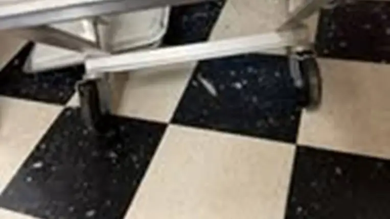 Negyedszer tört be ugyanabba az üzletbe egy édesszájú medve. Illusztráció. Fotó: Internet