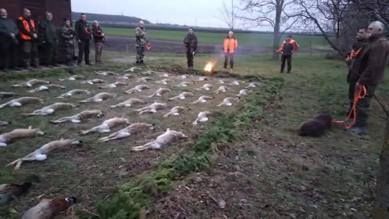 Martonvásári vadászélményeim