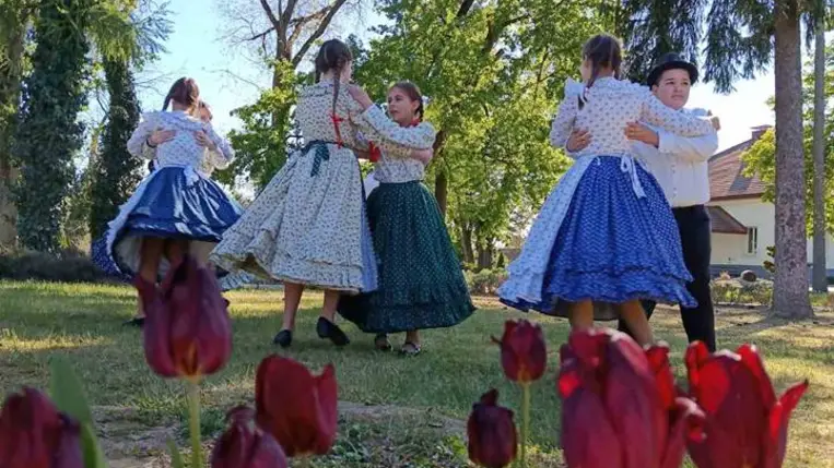 Májusfaállítás a Tulipán Tanoda hálózatában