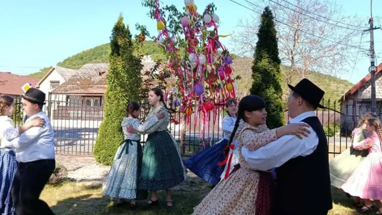 Májusfaállítás a Tulipán Tanoda hálózatában