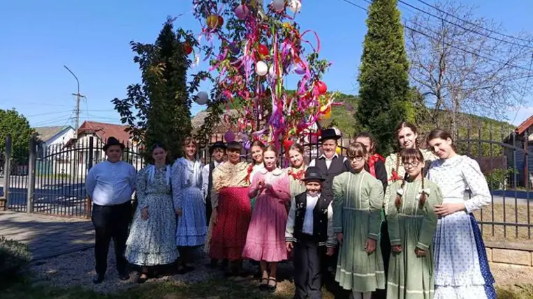 Májusfaállítás a Tulipán Tanoda hálózatában