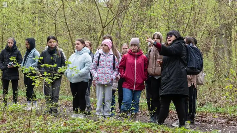 V. Kockás Kotuliliom Túra