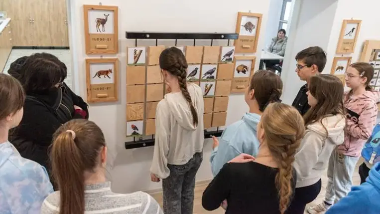 V. Kockás Kotuliliom Túra