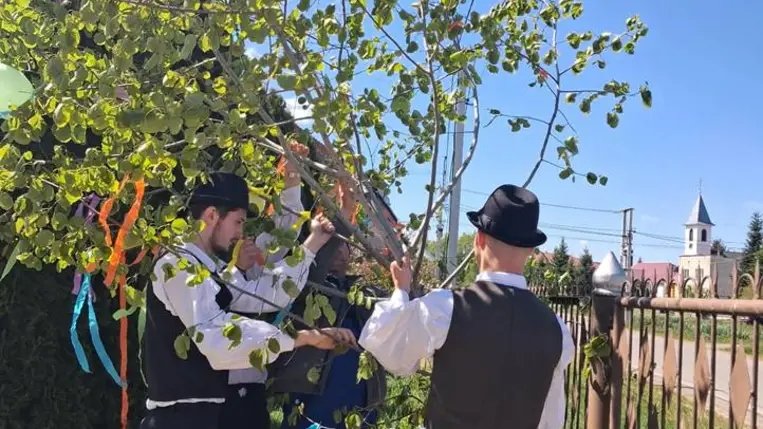Májusfaállítás a Tulipán Tanoda hálózatában