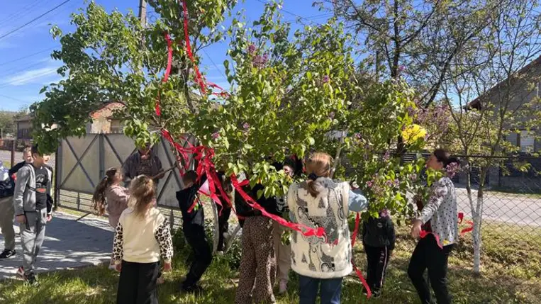 Májusfaállítás a Tulipán Tanoda hálózatában