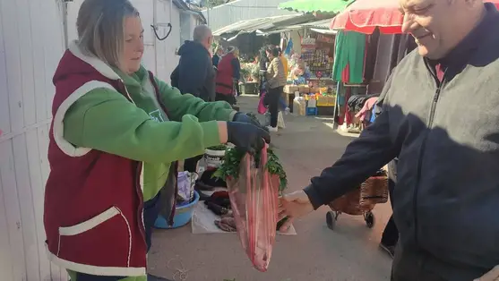 Indul a palántaszezon - Kockázat nélkül nem megy