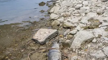 Történelmi mélyponton a Duna vízszintje 