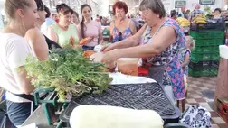 Megkezdődött a piros aranynak való betakarítása - Új termék a füstölt paprika. Fotó: Kovács Elemér