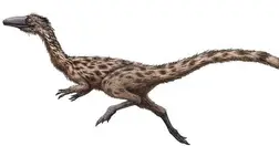 A fürgelábú gyík lett Massachusetts dinoszaurusza