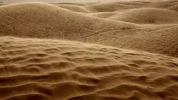 Tisztított homokszemcsékkel vennék fel a harcot az elhízás ellen