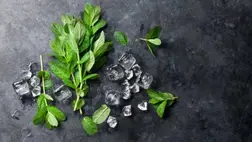 A menta gyógyító hatásai