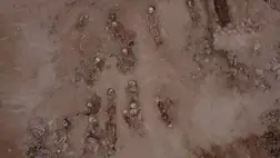 Rettenetes titkot őrzött egy domb belseje