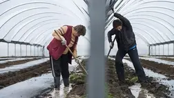 A magas talajvíz elleni védekezésről