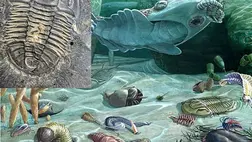 Ez állhat a Föld első tömeges állatkihalása mögött