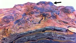 Élet nyomaira bukkantak, közelebb kerültek a nagy áttöréshez