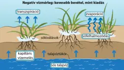 A talaj-EC sajátosságai a hajtatásban
