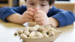 Ezzel a trükkel erősíthetjük a bél-mikrobiom komplex védelmi szerepét