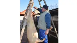 A disznóvágások letűnt aranykora