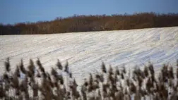 Már jelentős mennyiségű nedvesség halmozódott föl a talajban