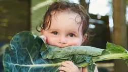 A legjobb ételek a K-vitamin pótlására