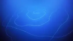 45 méteres, veszélyes mélytengeri lényt találtak