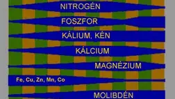 Talajhibák korrigálása: a talaj-pH szabályozása a hajtatásban