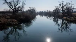 Hulladék, szemét a folyón. Illusztráció