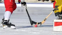 Jéglabda. Illusztráció