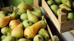 Gyümölcs, amelyet gyakrabban kellene enni télen