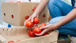 Természetes vérnyomáscsökkentő módszerek