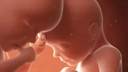 Úgy tűnik, a magzatoknak nincsenek bélbaktériumai