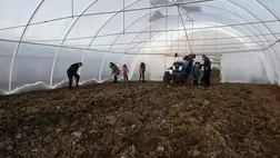 Javában tart a fóliaházak talajának előkészítése